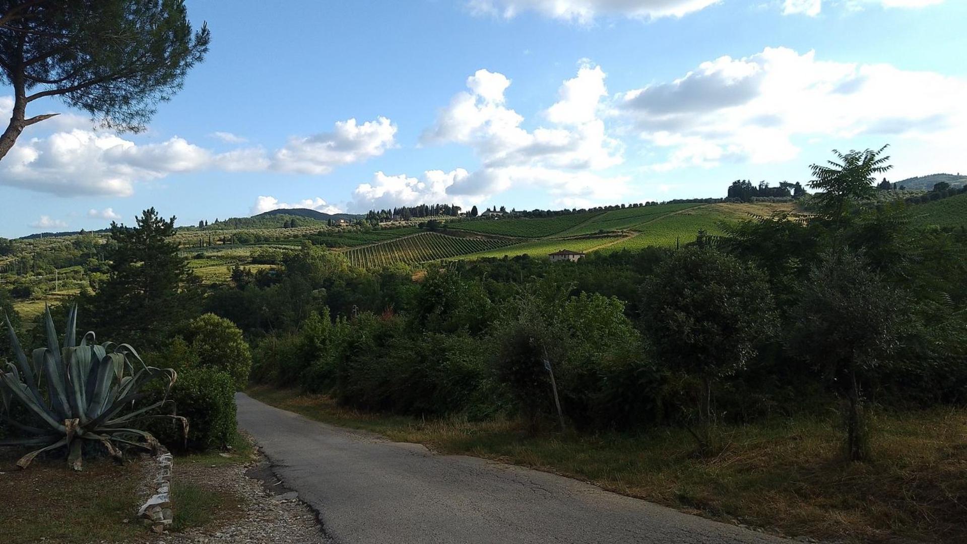 La Turra - Casa Di Campagna Greve in Chianti Exteriér fotografie
