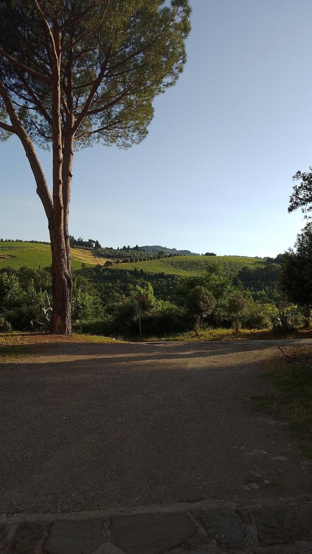 La Turra - Casa Di Campagna Greve in Chianti Exteriér fotografie
