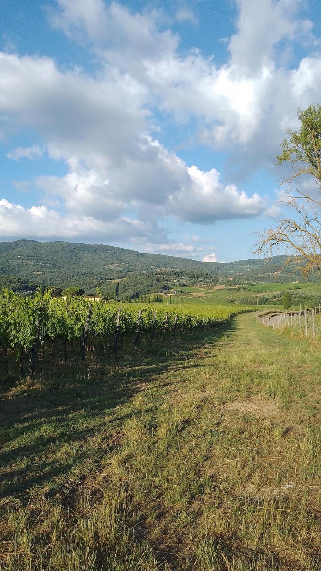 La Turra - Casa Di Campagna Greve in Chianti Exteriér fotografie